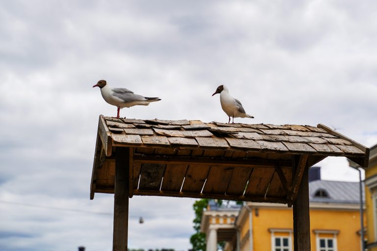 Vielä ehdit vastaamaan kävijäkyselyyn!